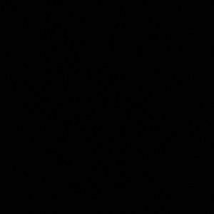 Meet your Posher, Khatuna